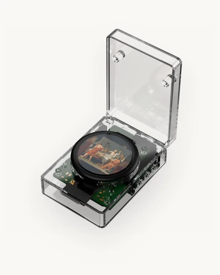 The Tiny Vinyl player: a round album art disc in a clear flip top case.